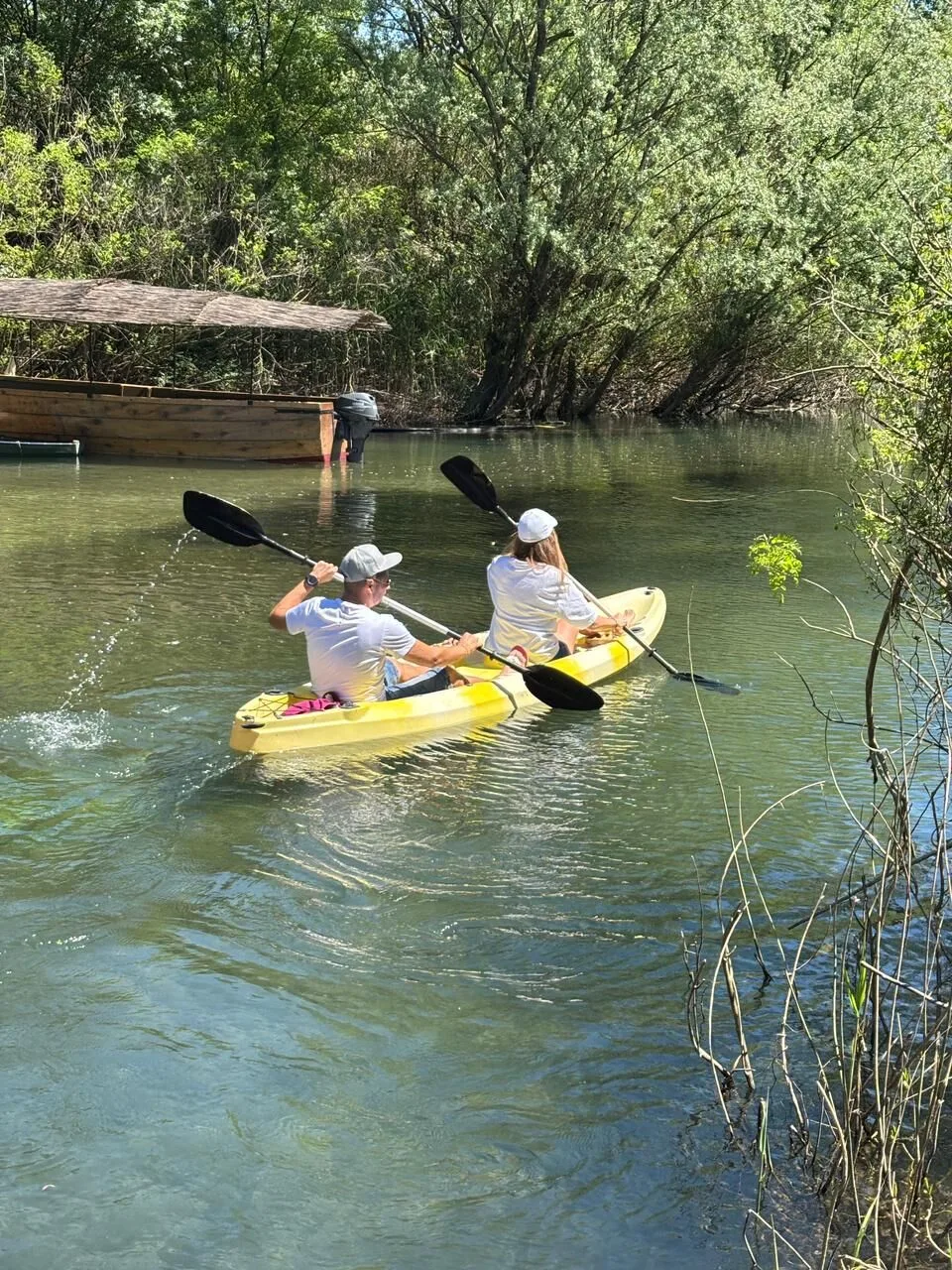 Kayaking on Skadar Lake canals